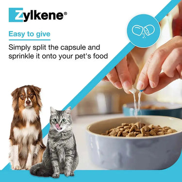 Zylkene Behavioural Support 20 caps| Online For Equine