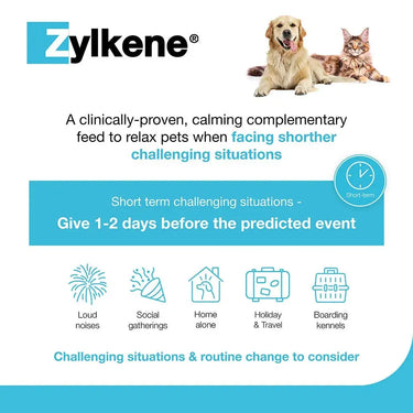 Zylkene Behavioural Support 20 caps| Online For Equine