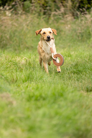 Benji & Flo Tug 'n' Play Dog Toys