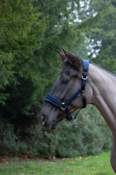 ProReaction Dura Fleece Head Collar by Hy Equestrian| Online For Equine