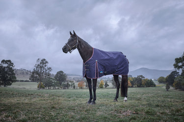 Weatherbeeta Comfitec Essential Turnout 220G Navy/ Burgundy