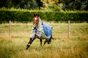Horseware Ireland Rambo Autumn Series