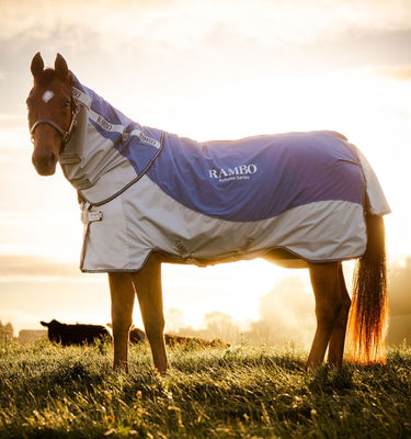 Horseware Ireland Rambo Autumn Series