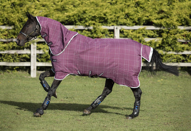 Buy the Horseware Ireland Rhino Plus Lite 0g Detachable Neck Turnout Rug| Online for Equine