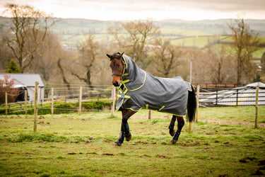 Buy the Horseware Ireland Amigo Hero Ripstop Plus 100g Detachable Neck Turnout Rug (Disc Front)| Online for Equine