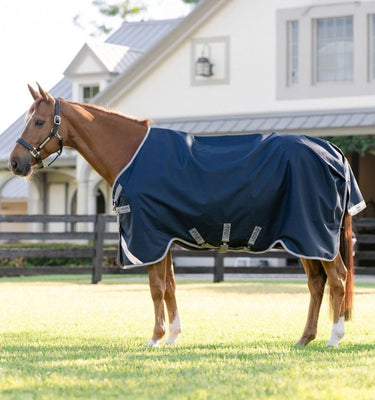 Horseware Ireland Amigo 1200D Plus Turnout Rug 0G