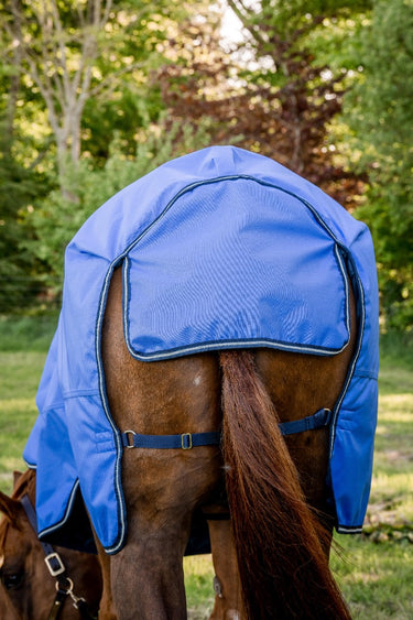 Buy the Horseware Ireland Amigo Hero Ripstop 50g Turnout Rug | Online for Equine