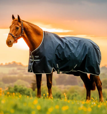 Horseware Ireland Amigo Ripstop 900D Turnout Rug 100G Witney Navy