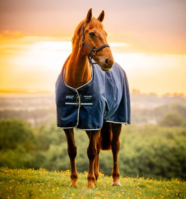 Horseware Ireland Amigo Ripstop 900D Turnout Rug 100G Witney Navy