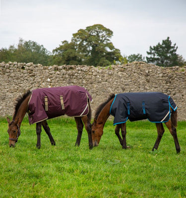 Horseware Ireland Amigo Ripstop 900D Foal Turnout Rug 50G