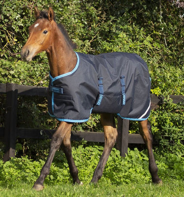 Horseware Ireland Amigo Ripstop 900D Foal Turnout Rug 200G