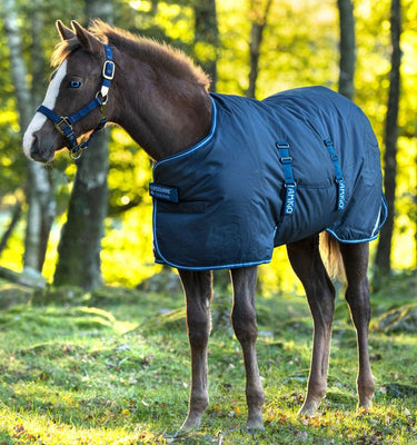 Horseware Ireland Amigo Ripstop 900D Foal Turnout Rug 200G