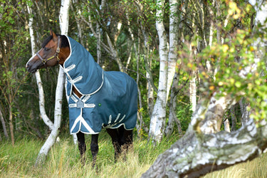 Buy Horseware Ireland AmEco Bravo 12 Plus Lite 100g Detachable Neck Turnout Rug (Disc Front)| Online for Equine