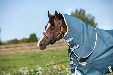 Buy the Horseware Ireland Amigo Bravo 12 Plus Lite 100g Detachable Neck Turnout Rug (Disc Front) | Online for Equine