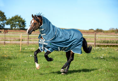 Buy Horseware Ireland AmEco Bravo 12 Plus Lite 100g Detachable Neck Turnout Rug (Disc Front)| Online for Equine
