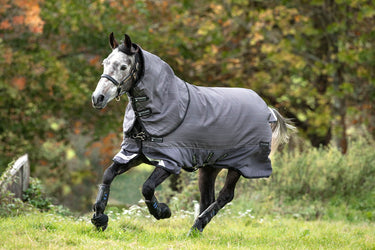 Buy Horseware Ireland Amigo Bravo 12 Reflective Plus 100g Detachable Neck Turnout Rug | Online for Equine