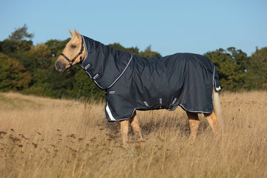 Buy the Horseware Ireland Amigo Bravo 12 Plus Lite 0g Turnout Rug | Online for Equine