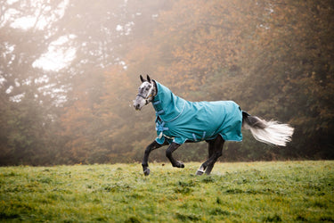 Buy Horseware Ireland Amigo Bravo 12 Plus Lite 100g Detachable Neck Turnout Rug Storm Green (Disc Front) | Online for Equine