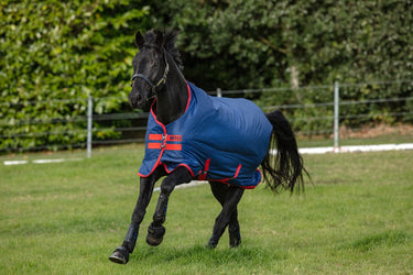 Horseware Ireland Mio Medium 200G Standard Neck Turnout Rug