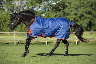 Horseware Ireland Mio Lite Standard Neck Turnout Rug