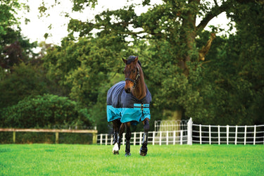 Buy Horseware Ireland Mio Lite Standard Neck Turnout Rug| Online for Equine