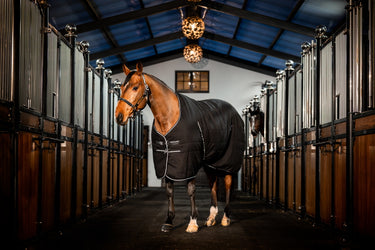 Horseware Ireland Rambo Stable Rug 400G Black / Thunderstorm Grey & Silver