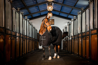 Horseware Ireland Rambo Stable Rug 400G Black / Thunderstorm Grey & Silver