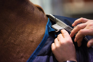 Buy Horseware Ireland 200g Rug Liner| Online for Equine