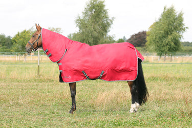 StormX Empra 300 Combi Turnout Rug