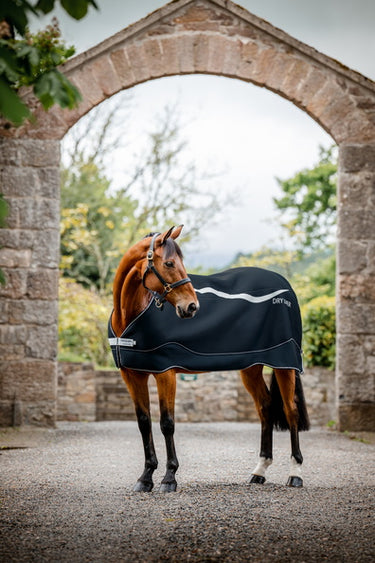 Horseware Ireland Dry Liner Rug