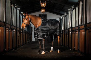Horseware Ireland Easy-Layer Stable Rug 100G