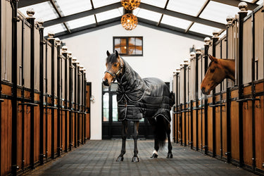 Horseware Ireland Easy-Layer Stable Rug Plus 200G