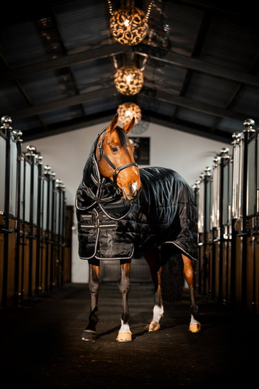 Horseware Ireland Easy-Layer Stable Rug Plus 400G