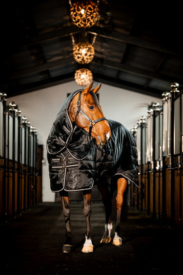 Horseware Ireland Easy-Layer Stable Rug Plus 400G