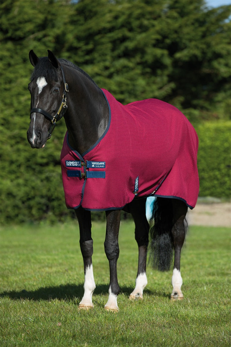Buy Horseware Ireland Rambo TechniWaffle Cooler Rug Online for