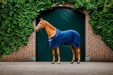 Horseware Ireland Thermal Cooler Navy / Navy & Silver