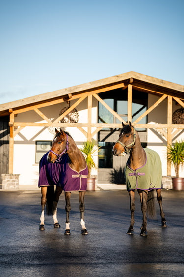 Horseware Ireland Amigo Fleece Cooler Winterberry
