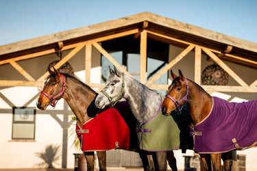 Horseware Ireland Amigo Fleece Cooler Mulberry