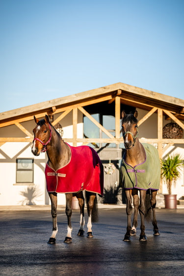 Horseware Ireland Amigo Fleece Cooler Bramble