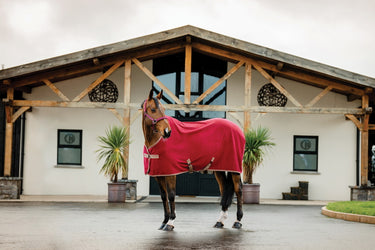 Horseware Ireland Amigo Fleece Cooler Mulberry