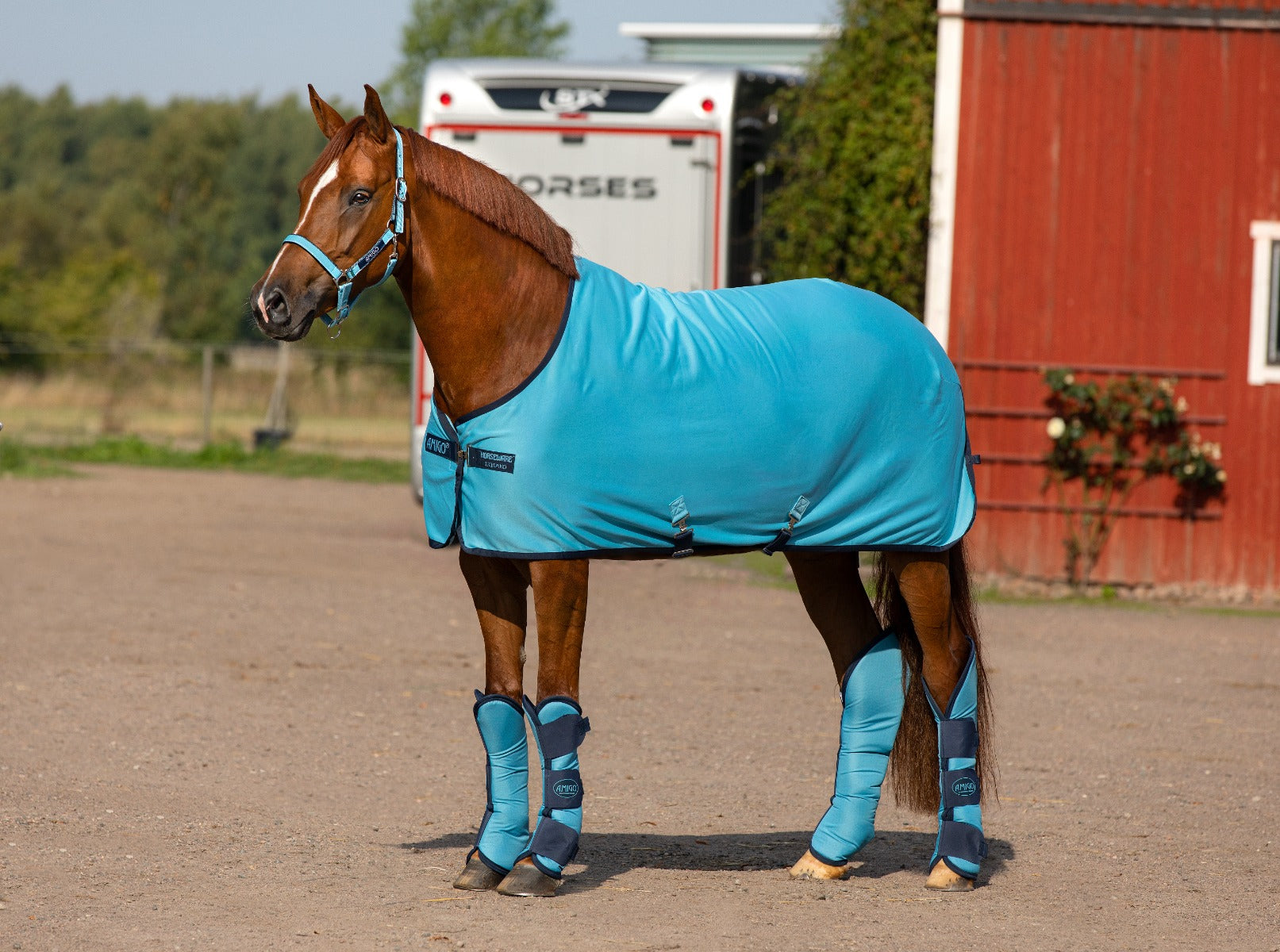 Buy Horseware Ireland Amigo Jersey Cooler Delphinium Blue/Navy Online