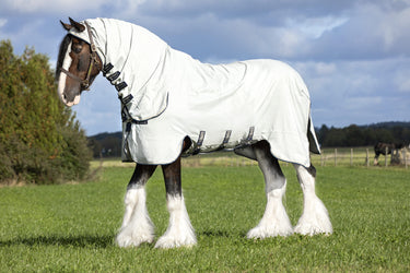 Buy Horseware Ireland Rambo Hoody XL Fly Rug (with free fly mask)| Online for Equine