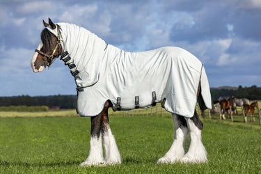 Horseware Ireland Rambo Hoody XL Fly Rug (with free fly mask)