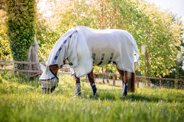 Horseware Ireland Rambo Protector Fly Rug