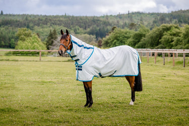 Buy Horseware Ireland Amigo Aussie All Rounder Summer Sheet| Online for Equine