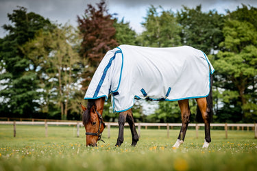 Buy Horseware Ireland Amigo Aussie All Rounder Summer Sheet| Online for Equine