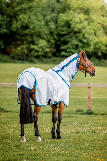 Buy Horseware Ireland Amigo Aussie All Rounder Summer Sheet| Online for Equine