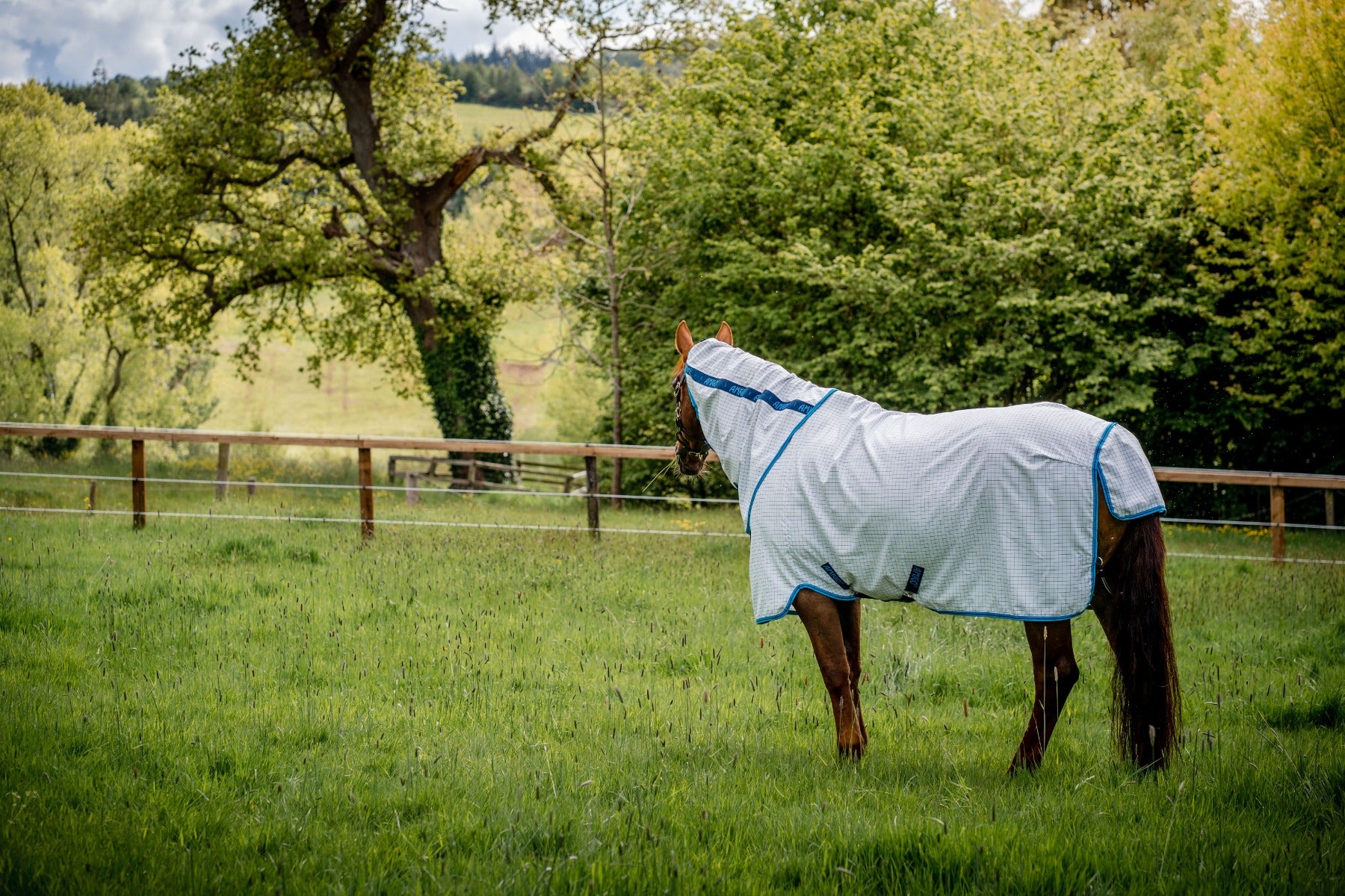 Buy the Horseware Ireland Amigo Aussie All Rounder Summer Sheet