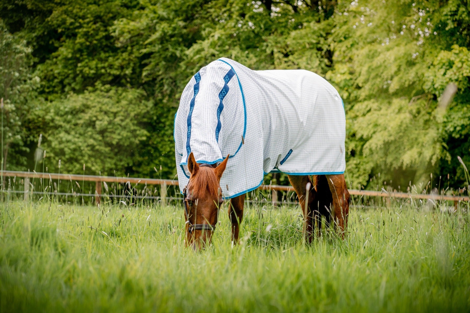 Buy the Horseware Ireland Amigo Aussie All Rounder Summer Sheet