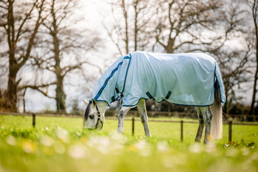 Buy Horseware Ireland Azure Blue Amigo Bug Rug | Online for Equine